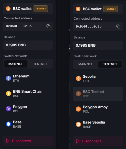 Create Token Form - Select Network